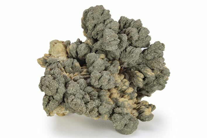 Pyrite Encrusted Barite Crystal Cluster - Lubin Mine, Poland #130507